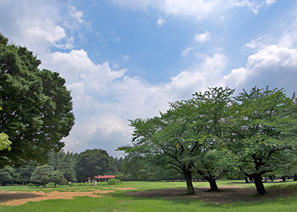 光が丘公園